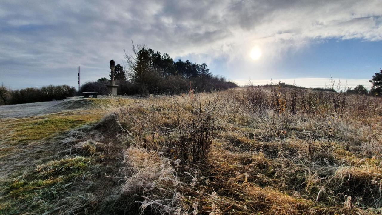 Ferienwohnung Am Sonnigen Haimberg Fulda Bagian luar foto